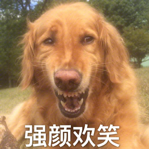 這些年的奇葩相親經歷！電視劇都不敢這么拍！  第2張