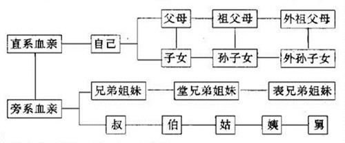 為什么禁止近親結(jié)婚 近親結(jié)婚范圍是多少  第2張