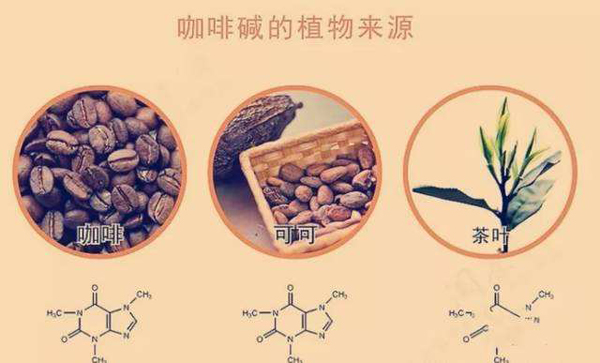 咖啡因是什么？咖啡因的作用是什么  第2張