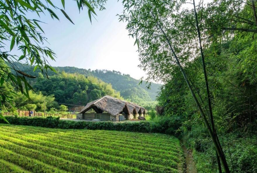 杭州旅游攻略 2019杭州旅游景點推薦  第8張
