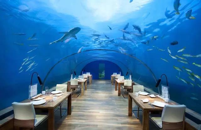蜜月旅行去哪里？全球最美的海濱蜜月酒店推薦  第11張