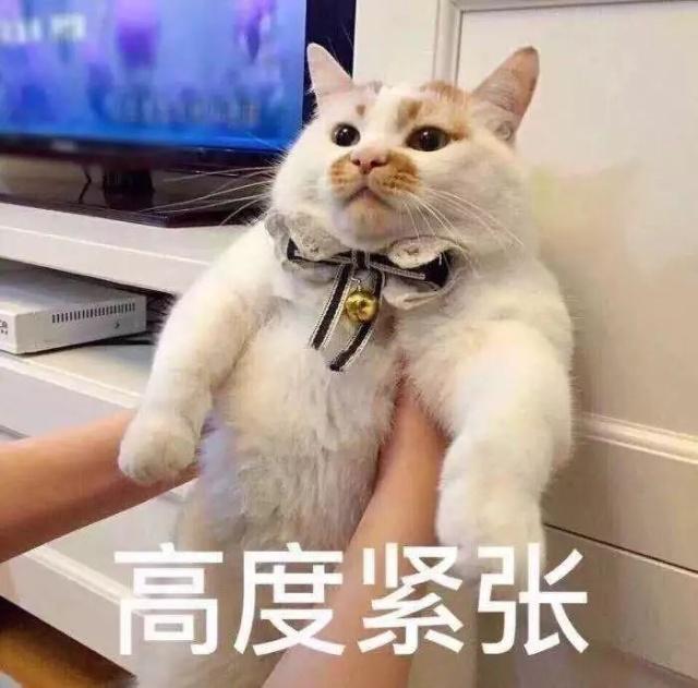 第一次見家長有多尷尬？隔著屏幕感覺都快窒息了！  第1張
