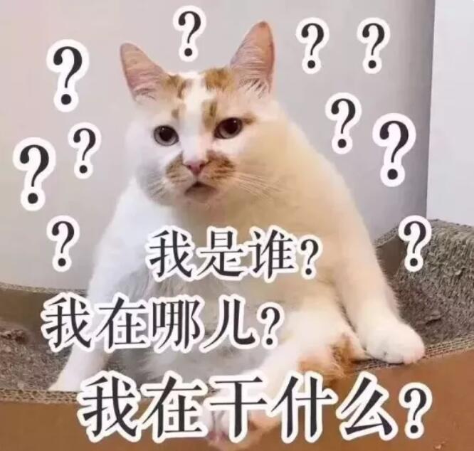 第一次見家長有多尷尬？隔著屏幕感覺都快窒息了！  第2張