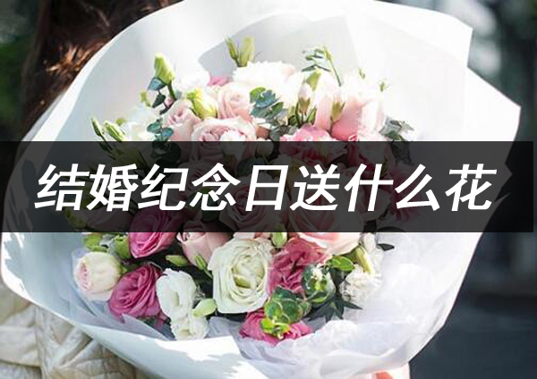 結婚紀念日送什么花最合適 